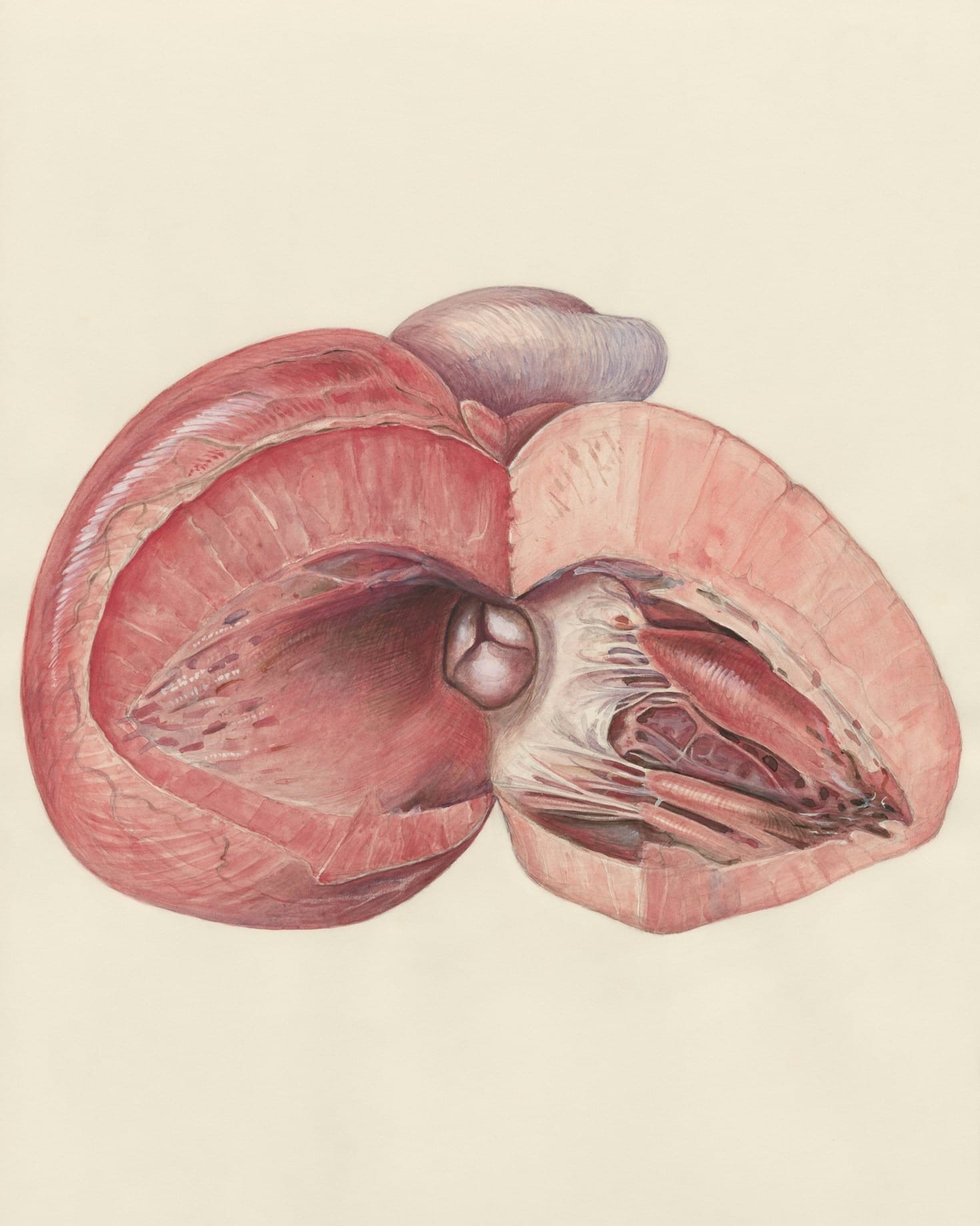 Top Features of the Ovara Tracking App